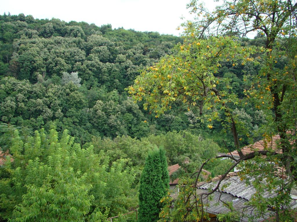 Guest House Selin Βελίκο Τίρνοβο Εξωτερικό φωτογραφία